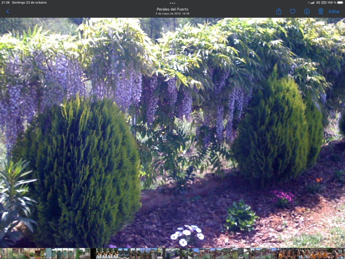 Finca Vergel Gata Luaran gambar
