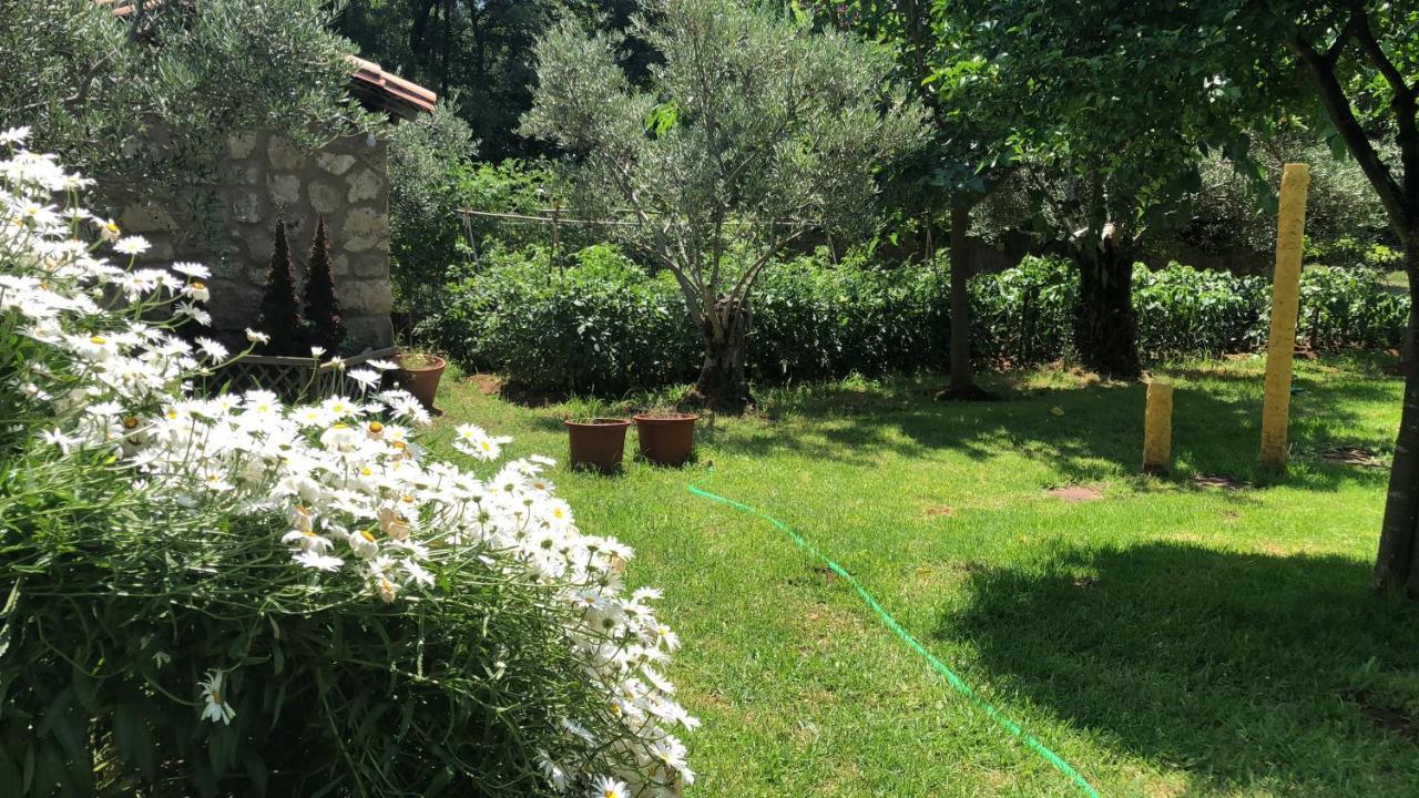 Finca Vergel Gata Luaran gambar
