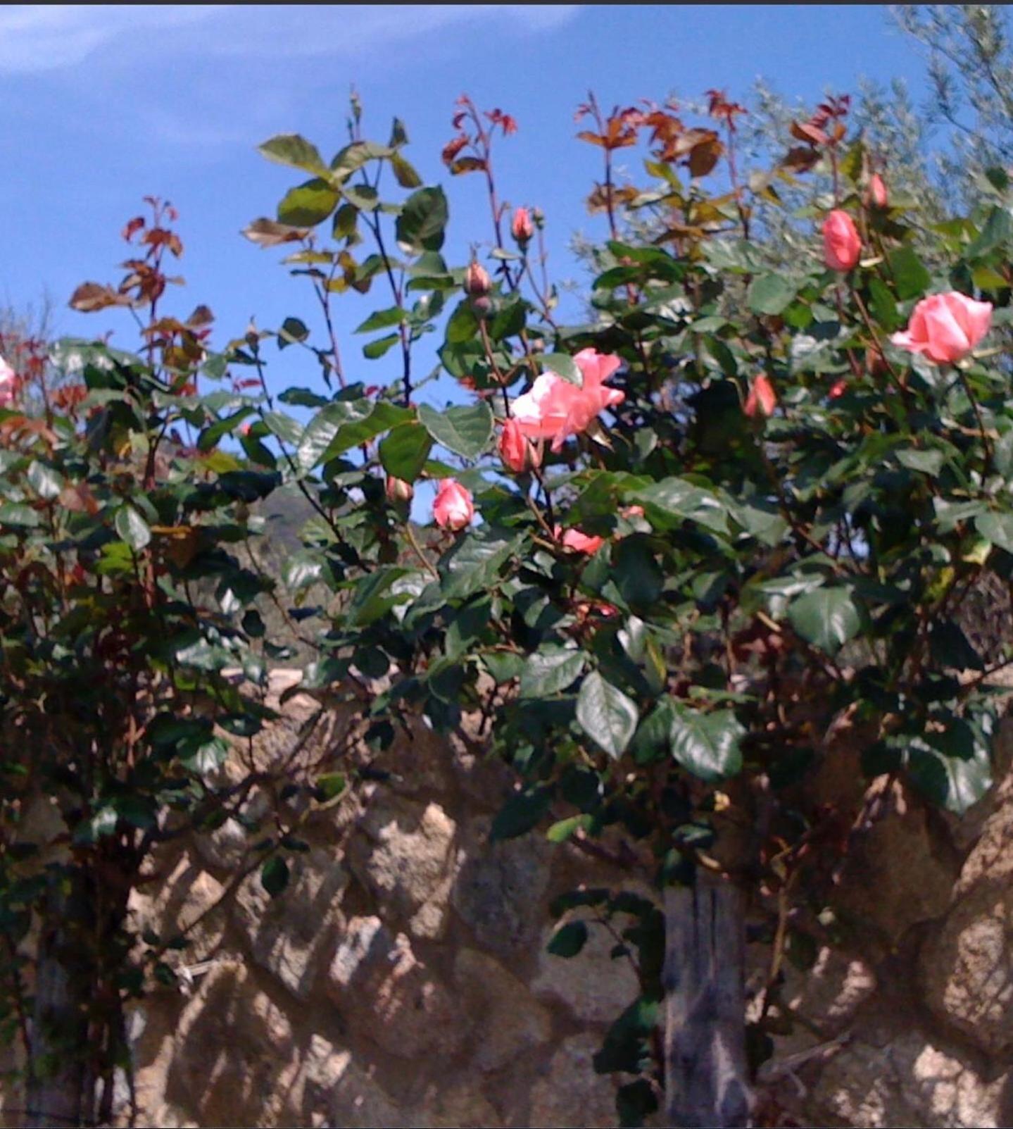Finca Vergel Gata Luaran gambar